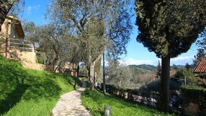 Un sentier de pierres serpente à travers une zone verdoyante, bordée d’arbres, et offre une vue sur des collines au loin.