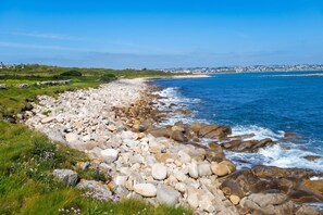 A coastal landscape with a rocky shoreline, grassy areas, and a view of a distant town.