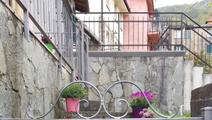 Una escalera con barandilla y varios peldaños, cada uno decorado con plantas en macetas.