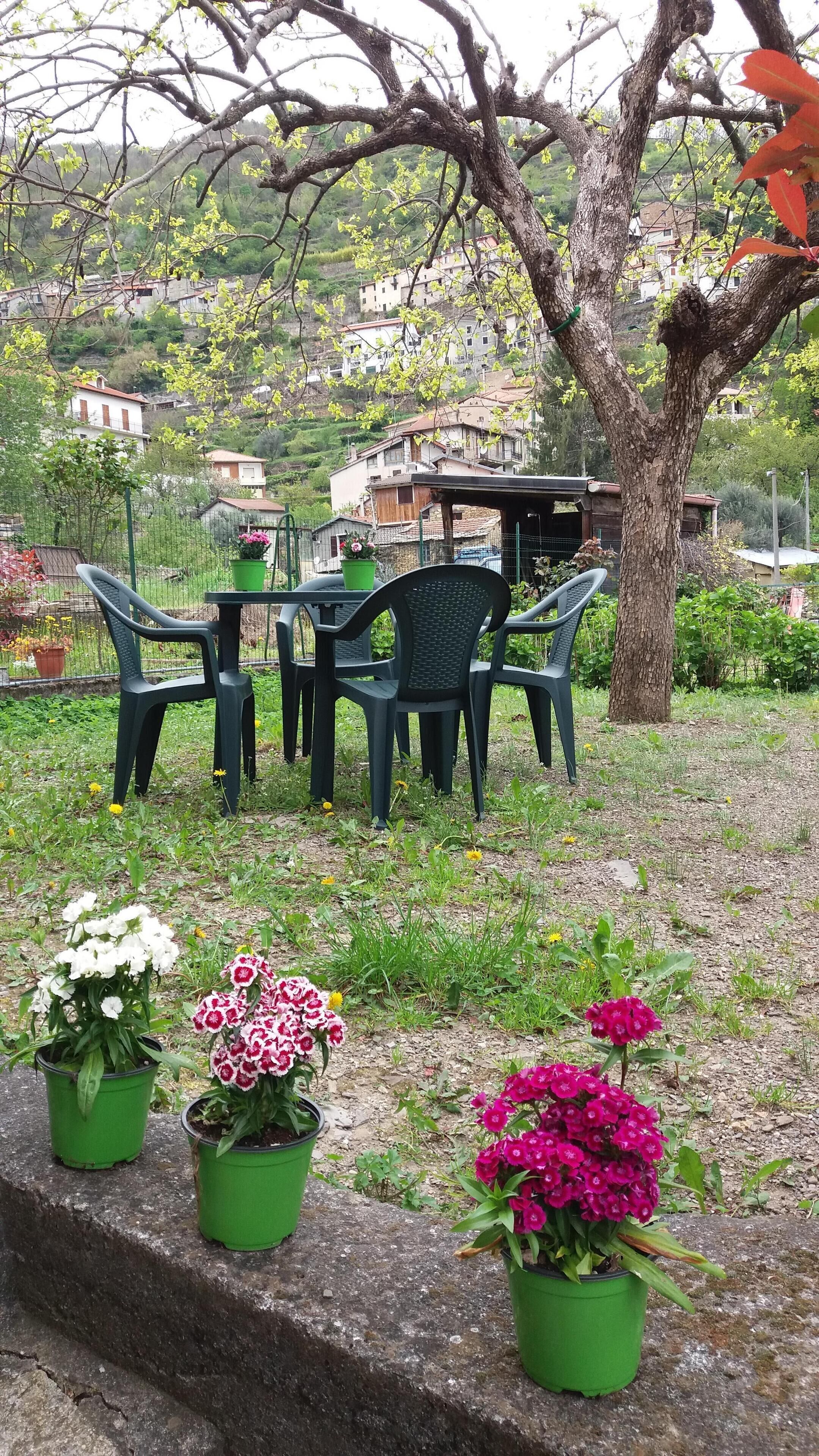 Ein Gartenbereich mit Tisch und Stühlen, umgeben von Kübelpflanzen und einem Baum.