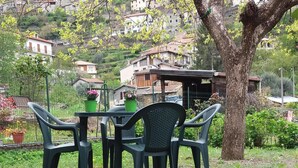 Un jardín con mesa y sillas, rodeado de plantas en macetas y un árbol.