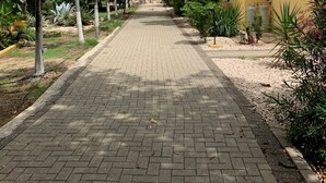 A paved pathway leading to a yellow building with a tiled roof, surrounded by various trees and plants.