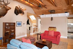 TV, fireplace, books