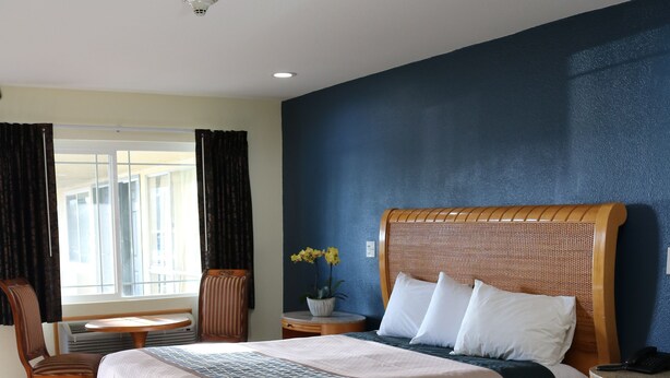 A neatly arranged hotel room with a large bed, a desk, a chair, and a bedside table. - Valli Hi Motel (San Ysidro)