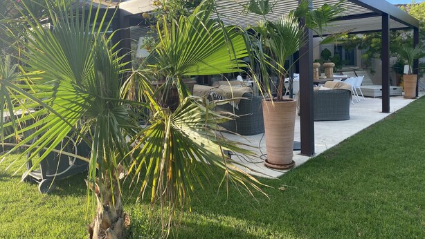 Un espace extérieur moderne, aménagé en patio, avec une pergola, des sièges et des plantes en pot.