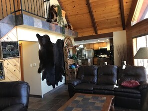 Televisio, takka, DVD-soitin, musiikkikirjasto