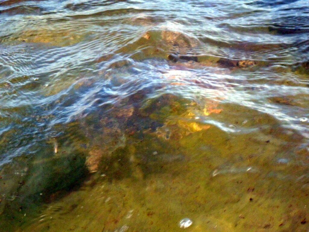 A close-up of clear water with visible rocks and pebbles.
