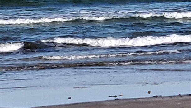 Ein Strand mit Wellen und blauem Himmel.