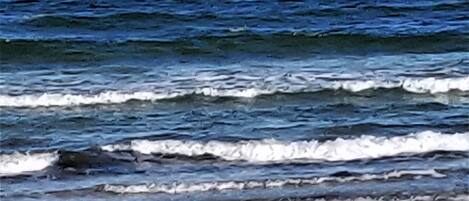 Beach nearby, sun loungers