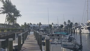 A marina with boats docked, wooden walkways, and palm trees in the background.