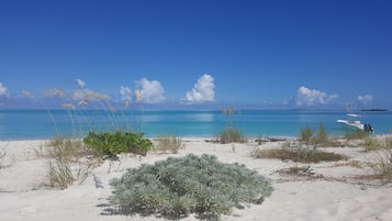 En la playa, camastros y toallas de playa 