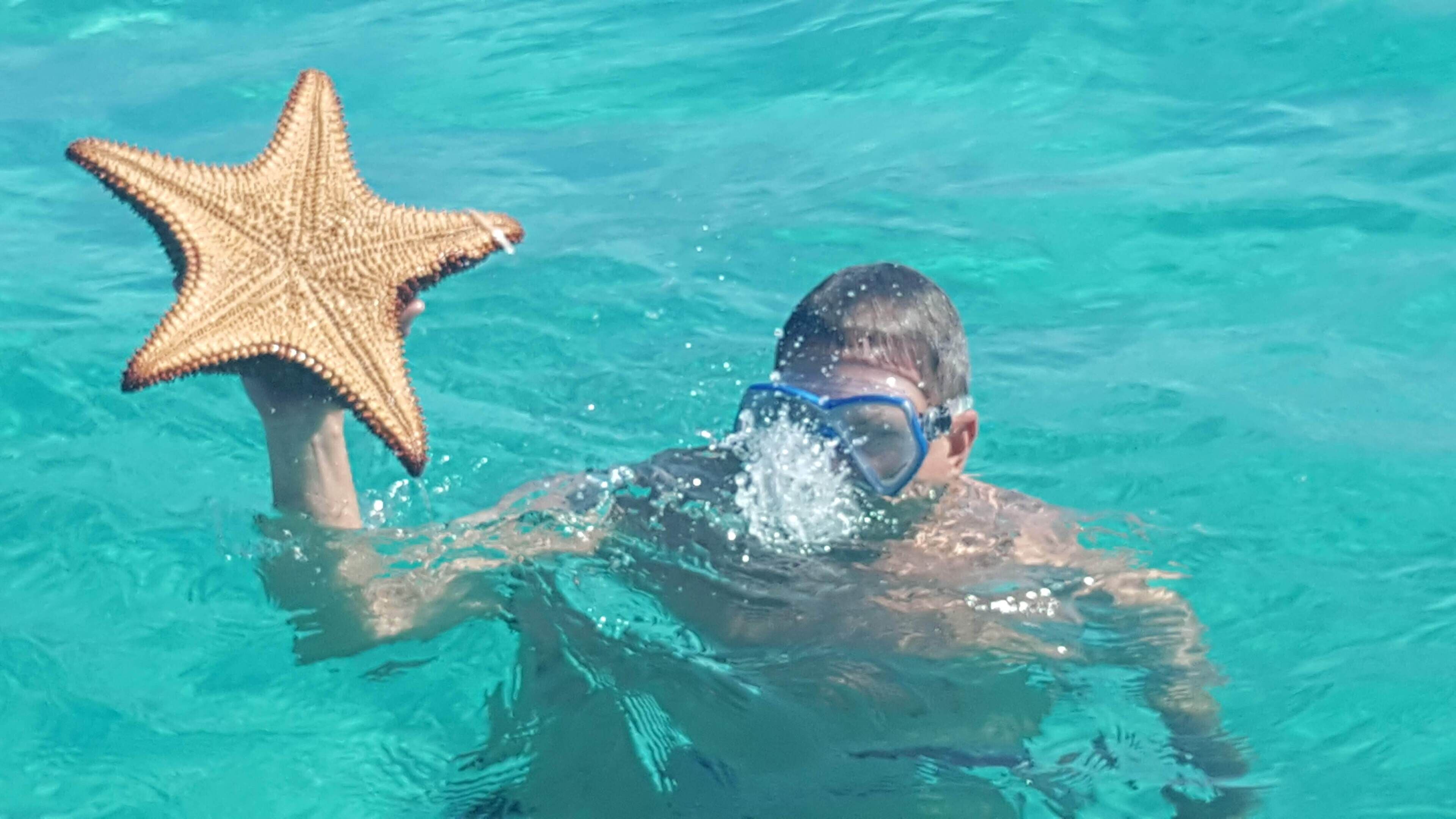 Une personne nage dans une eau d’un bleu limpide, tenant une étoile de mer.
