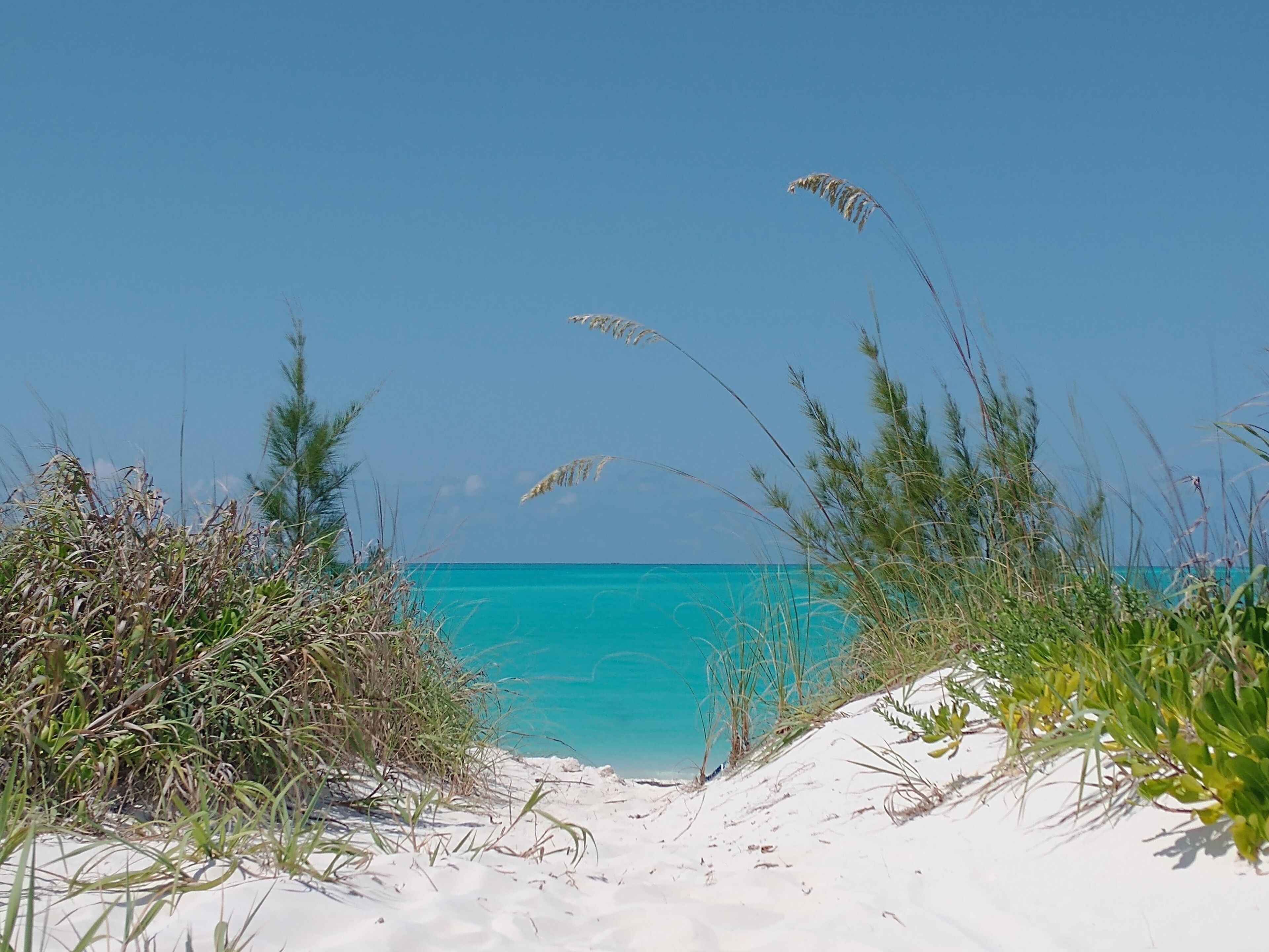 A beach with white sand and clear turquoise water.