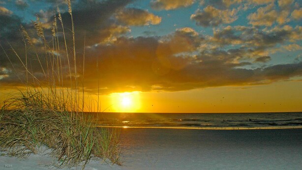 Une plage avec de l’herbe au premier plan et un coucher de soleil en arrière-plan.