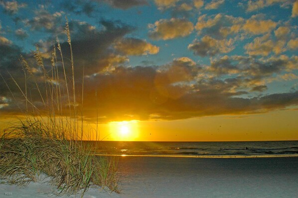Una playa con césped al frente y un atardecer al fondo.