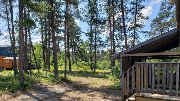 A cabin with a wooden deck and a dirt path leading to a forested area. - Rivers Edge/Off Grid/ Bird Watching Summer Paradise (Paradise)