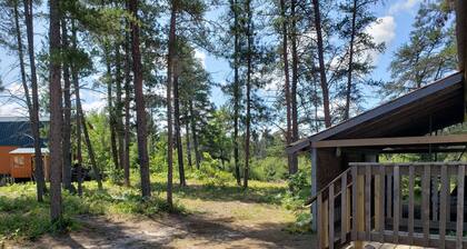 Rivers Edge / Off Grid / Lintujen tarkkailu kesäparatiisi