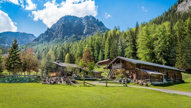 A rustic mountain cabin with a wooden exterior, surrounded by lush greenery and a clear blue sky. - Apartment Unterlechnung in Vomp (Vomp)