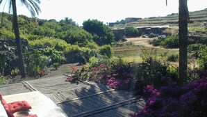 Eine Dachterrasse mit Holzdeck, umgeben von üppiger Bepflanzung und blühenden Pflanzen.