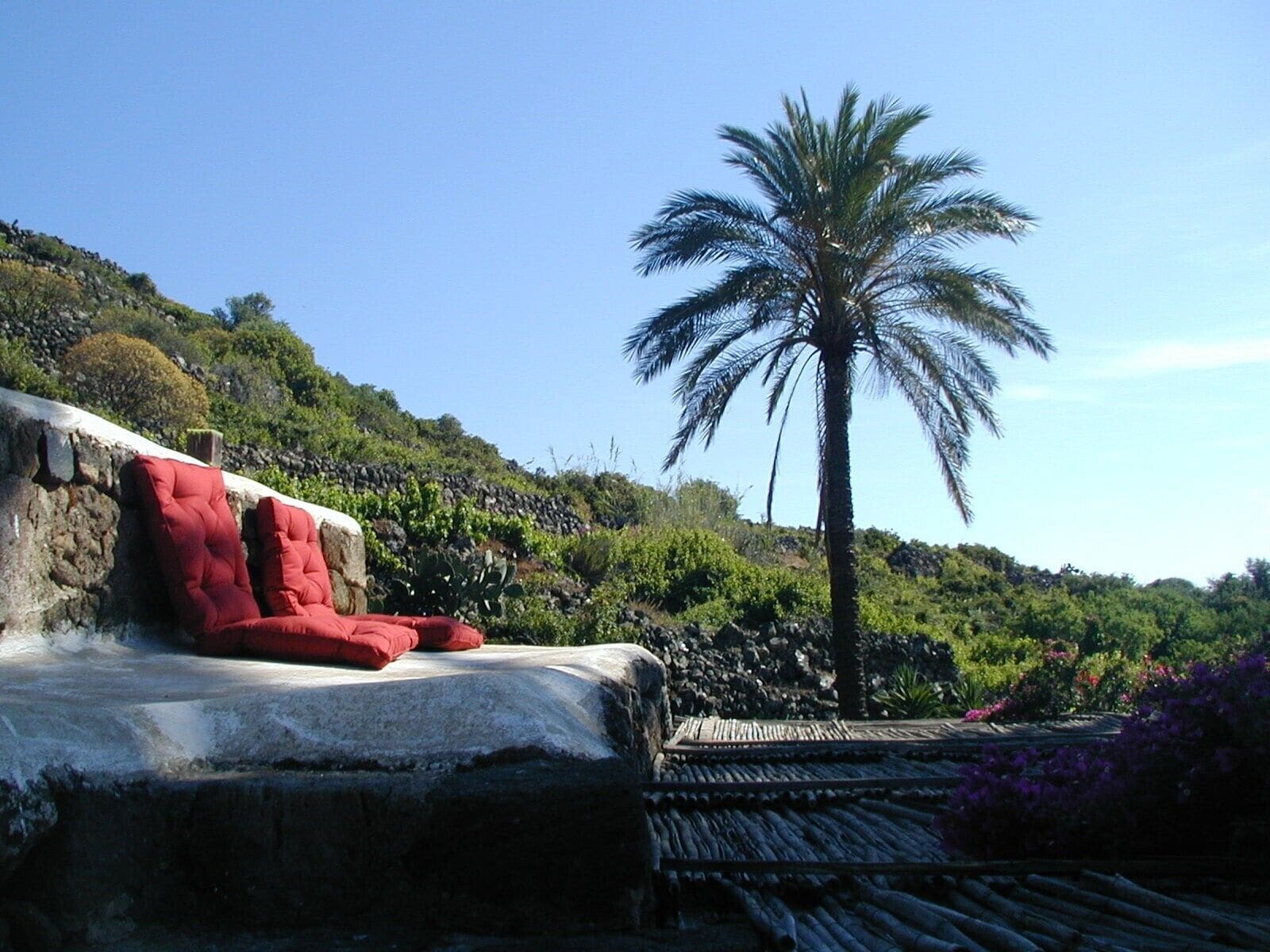 Ancient Dammuso with splendid garden in the peace of the island<br>CIR: 19081014C209417