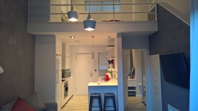 Luxury Loft Apartment