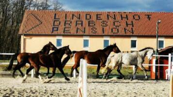 Façade de lâhĂ©bergement