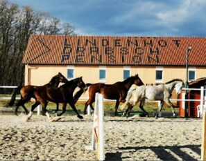 Vista frontal de la propiedad