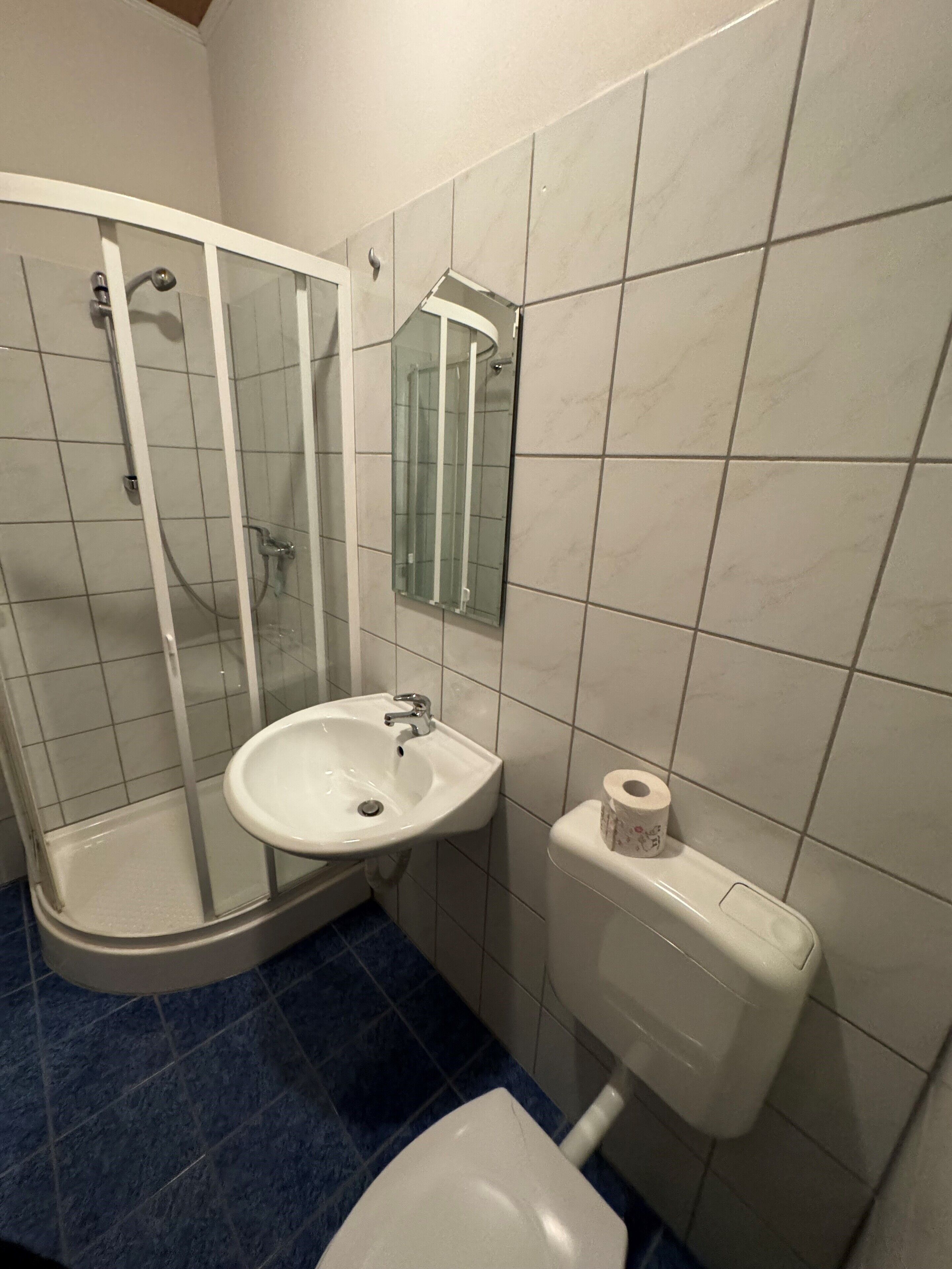 Et badeværelse med en glasafskærmet brusekabine, en hvid vask og et toilet.