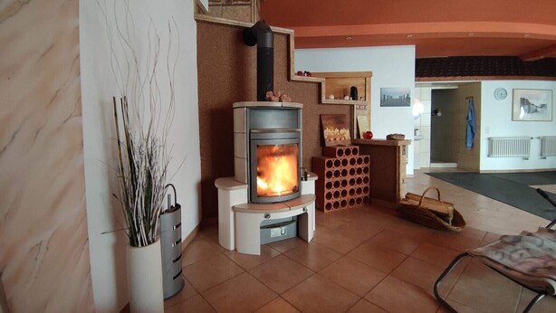 Un salon chaleureux avec un poêle à bois, une plante en pot et une cheminée ornée d’une console.