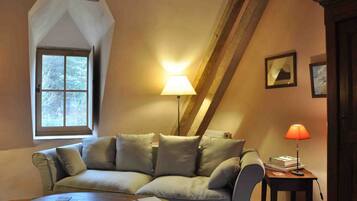 Télévision, cheminée, lecteur de DVD, livres