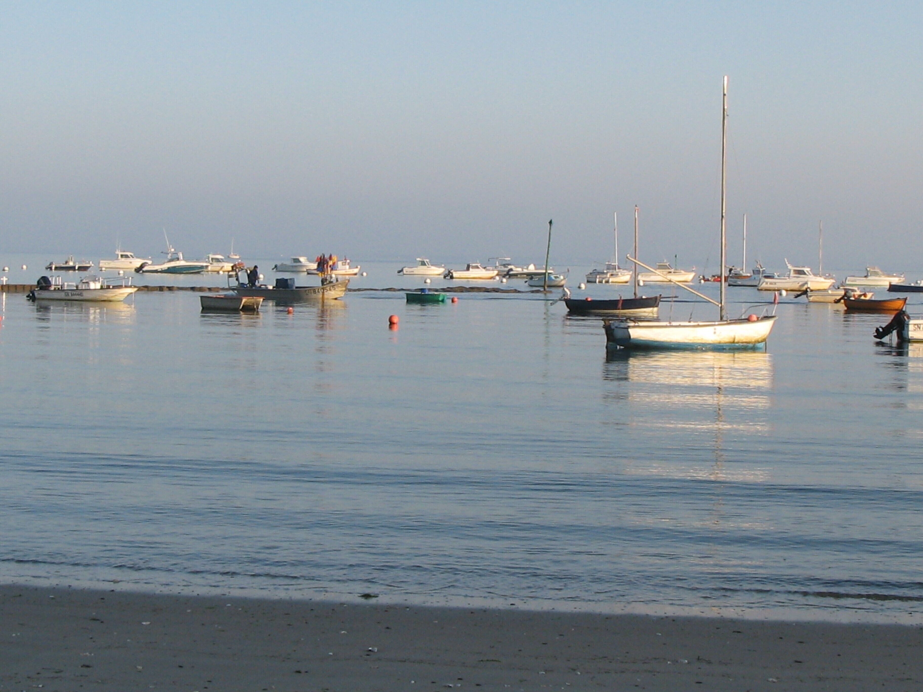 A marina with various boats docked.