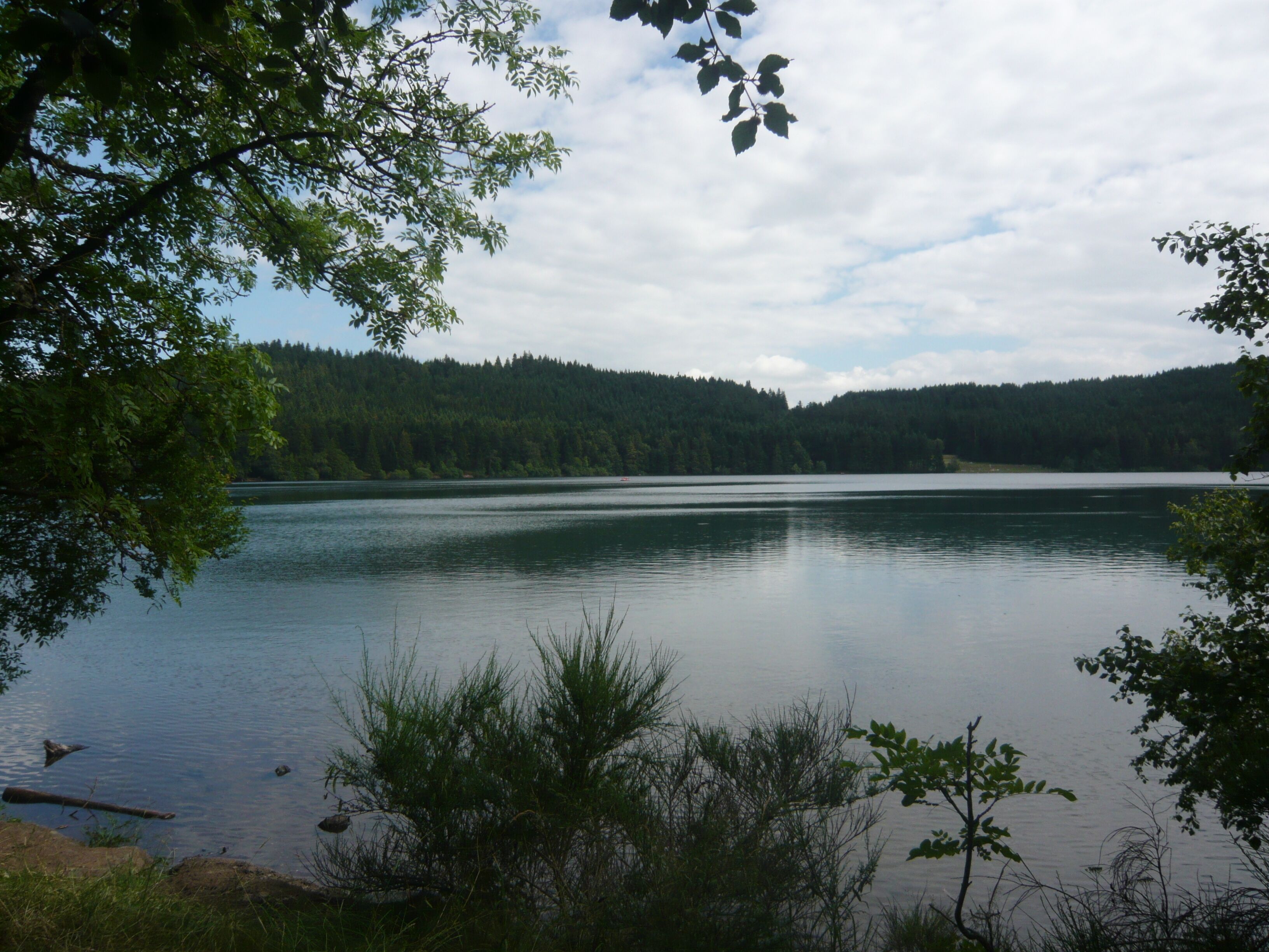 A calm lake surrounded by dense forest and a clear sky.