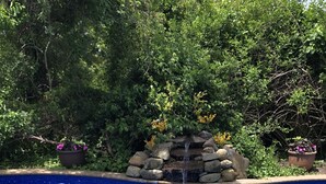 A swimming pool with clear blue water, surrounded by lush greenery and a small waterfall feature.
