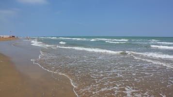 Ranta