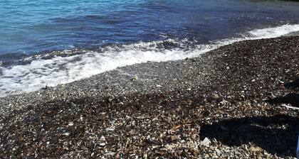 On a magical peninsula, luxurious romantic flat, St Jean Cap Ferrat