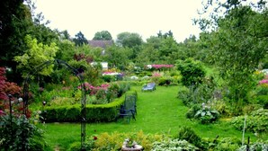 A lush garden with a variety of plants and flowers, a bench, and a small table. - Lovingly furnished new FEWO for 2 people in an absolutely quiet location (Horn-Bad Meinberg / Feldrom)