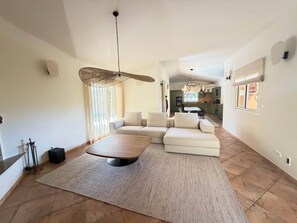 TV, fireplace, video games, DVD player