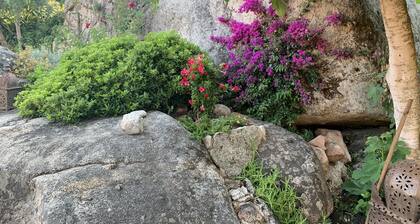 Villa "ARCA" – Warmth, tranquility and heated pool in Porto-Vecchio