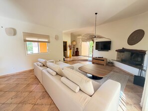 TV, fireplace, video games, DVD player