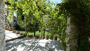 A courtyard with potted plants, a pergola, and a view of a building in the background.