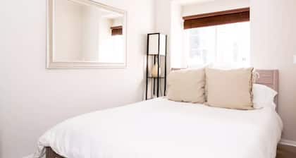 Cute 1 bed 1 bath Apt in Sunny and Hip Mission District