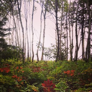 Terrain de l’hébergement 