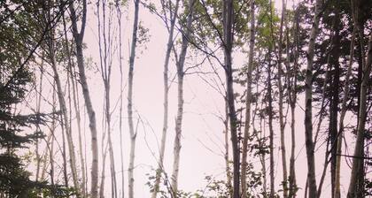 Rent Breton Cove Farmhouse - We are located on the Cabot Trail