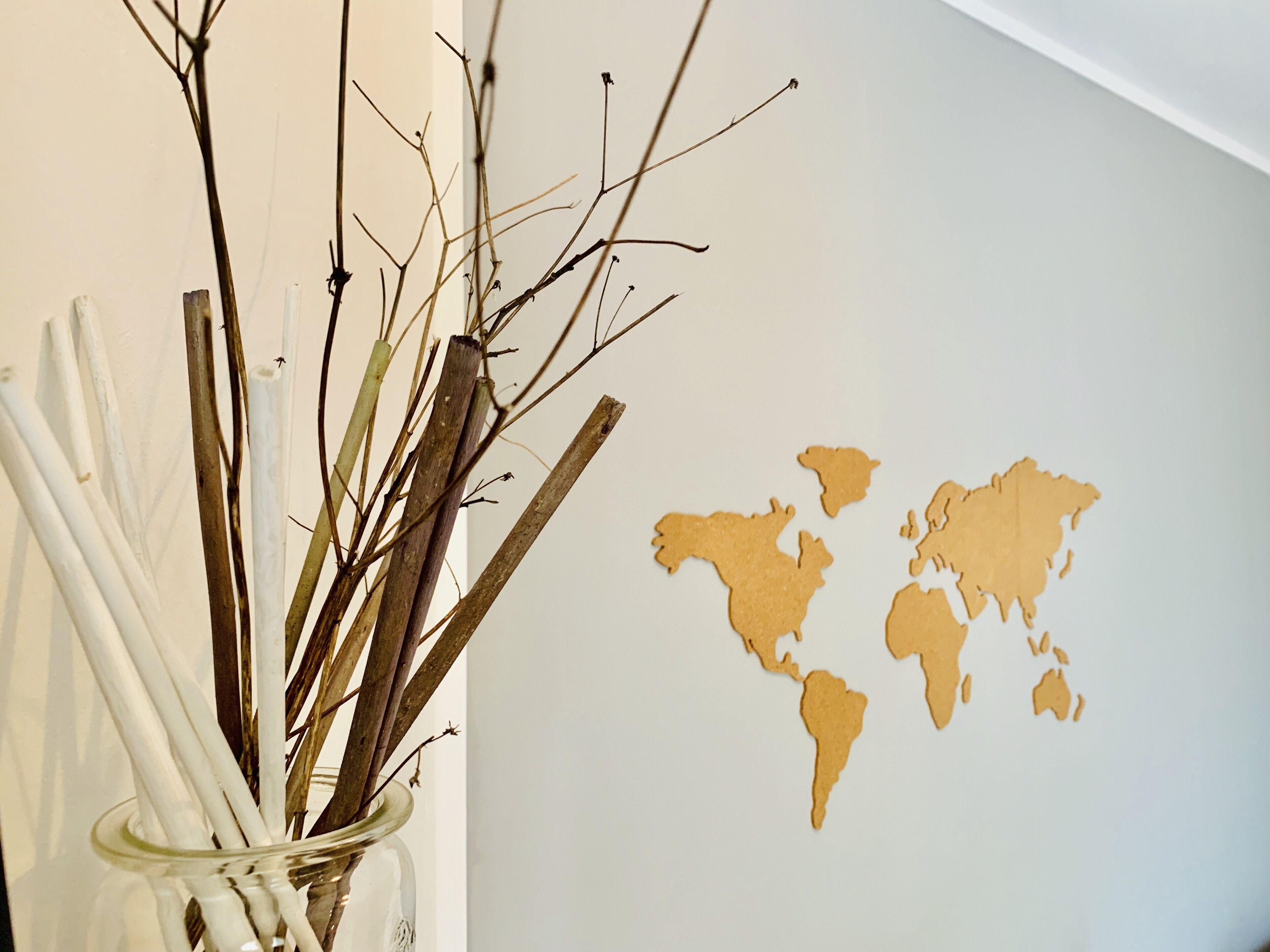A glass vase with branches on a white wall.