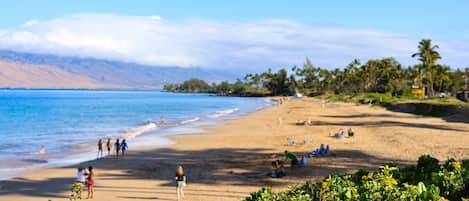 Beach nearby, sun-loungers