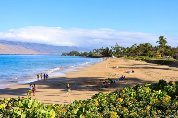 Beach nearby, sun-loungers
