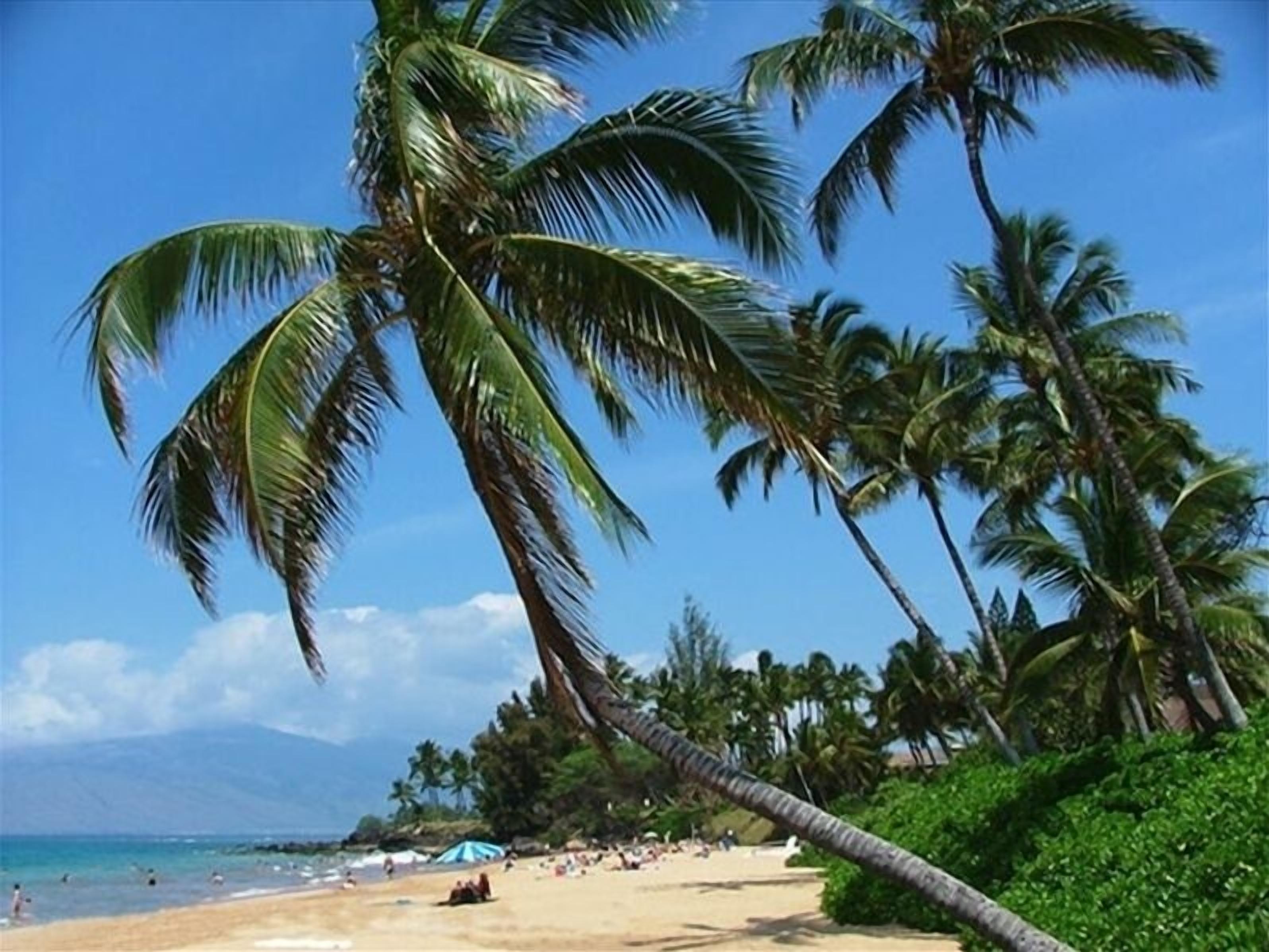 Beach nearby, sun loungers