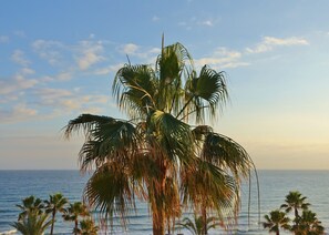 Enjoy a tranquil beachfront setting with a majestic palm tree and ocean views.
