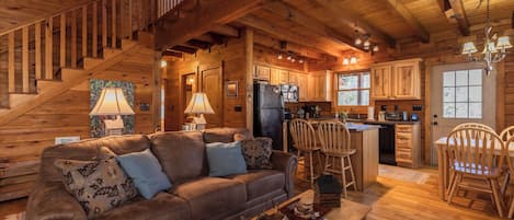 Fernseher, Kamin, DVD-Player, BĂŒcher