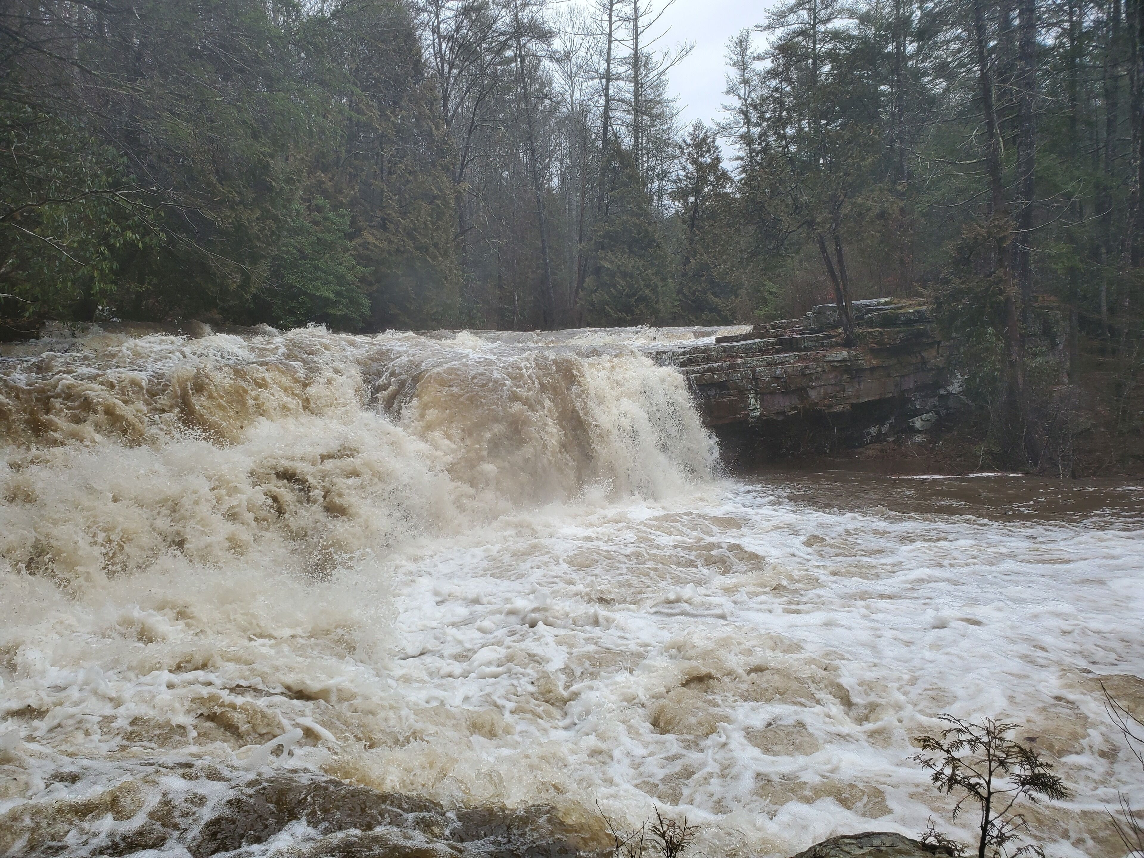 Une cascade se déversant sur un promontoire rocheux, entourée d’une forêt dense.